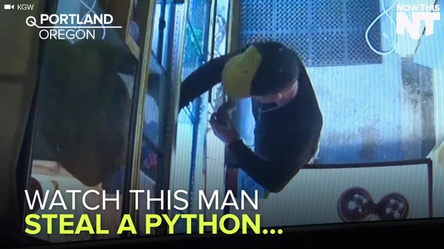 Man Steals Snake By Sticking It Down His Pants