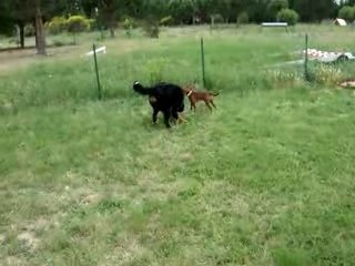 2-Le jeux après le travail