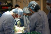 España bate el récord en donantes de órganos