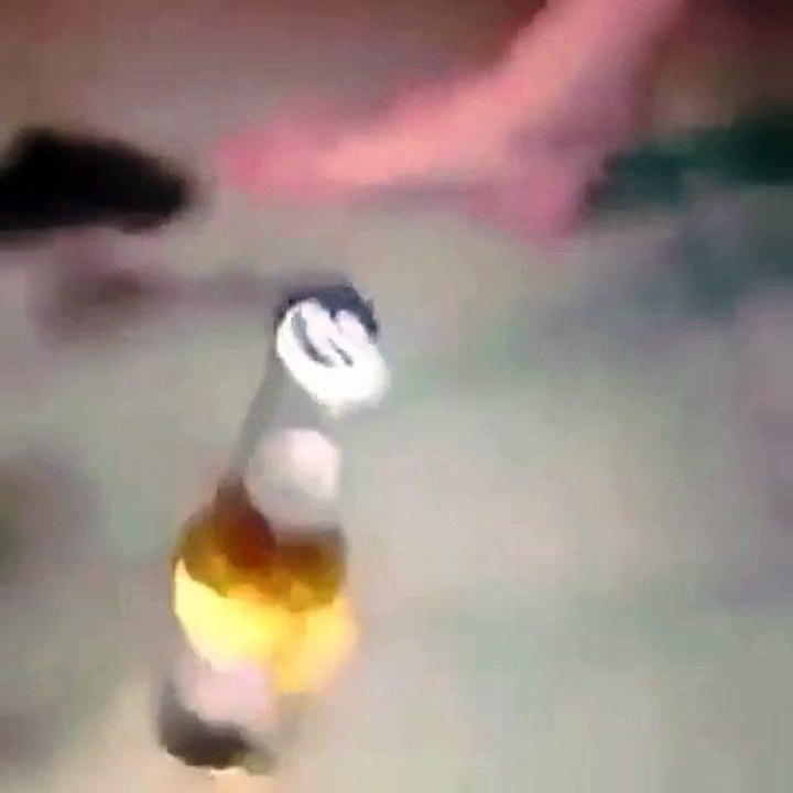 Buka Tutup Botol Pake Mesin Pemotong Kayu