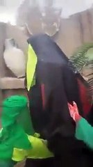 "..‫اگر ویڈیو پسند آئے اور دل اجازت دے تو شیر یا..‬.." - Adnan Ali Abbas