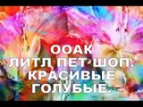 ООАК Литл Пет Шоп Красивые, ГОЛУБЫЕ OOAK little Pet Shop Beautiful, BLUE