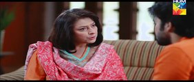 Ek Thi Misaal » Hum Tv » Episodet36 LASTt» 12th January 2016 » Pakistani Drama Serial