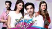 Gudiya Rani » Ary Digital » Episode 	144	» 12th January 2016 » Pakistani Drama Serial