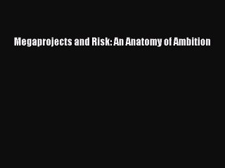 [PDF Download] Megaprojects and Risk: An Anatomy of Ambition [PDF] Online