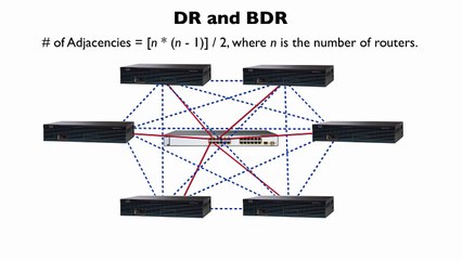 199.Designated Routers