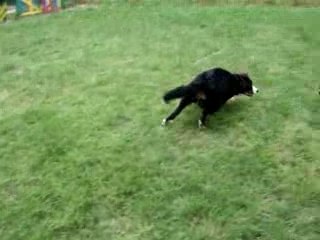 3-Le jeux après le travail DSCF1319