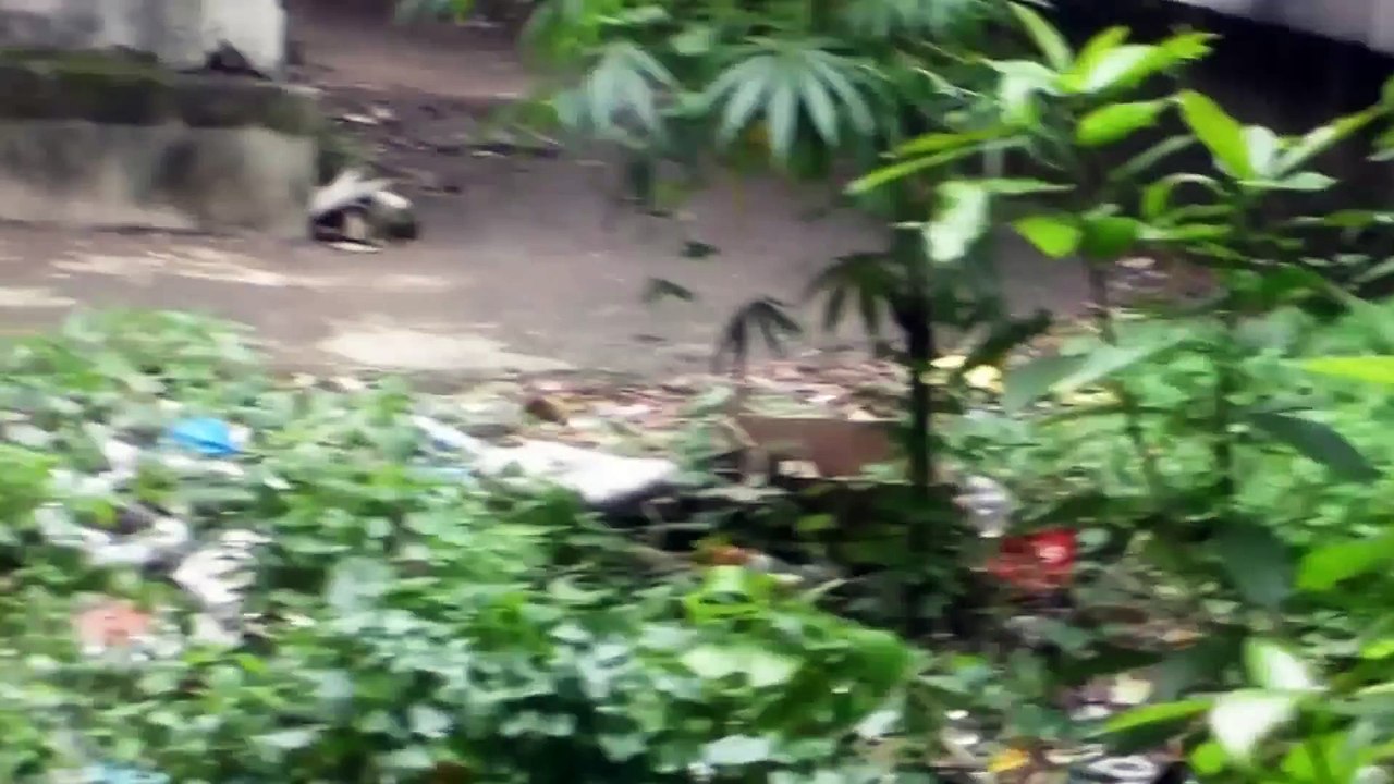 REAL GHOST CAUGHT BY SECURITY GUARD  MOST SCARY HAUNTING GHOST VIDEO Scary Videos