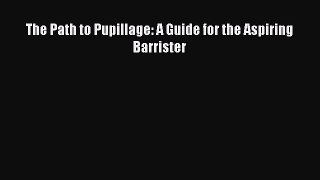 [PDF Download] The Path to Pupillage: A Guide for the Aspiring Barrister [Read] Online
