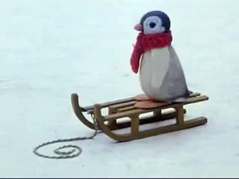 Pingu: Pinga and Pingu