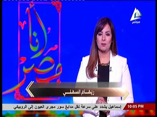 ريهام السهلي لـ هشام جنينه: ما هو مصدرك في تقريرك وهل ضميرك مرتاح الآن؟