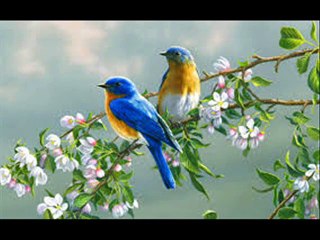 Bheega bheega sa ye december by abdul qadar