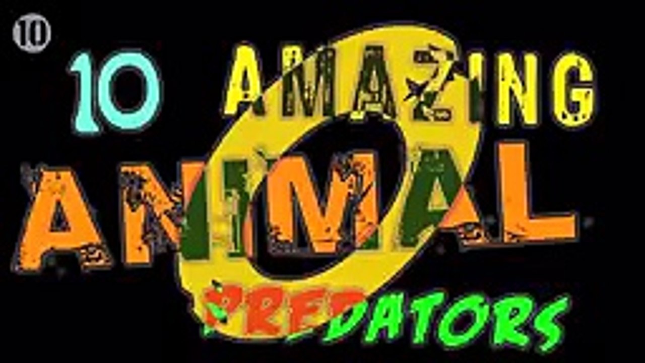 Amazing Animal Predators