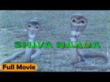 Shiva Naaga | Full Hindi Movie | Arjun Sarja, Mala Shree
