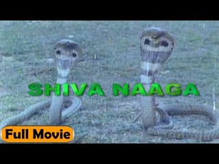Shiva Naaga | Full Hindi Movie | Arjun Sarja, Mala Shree