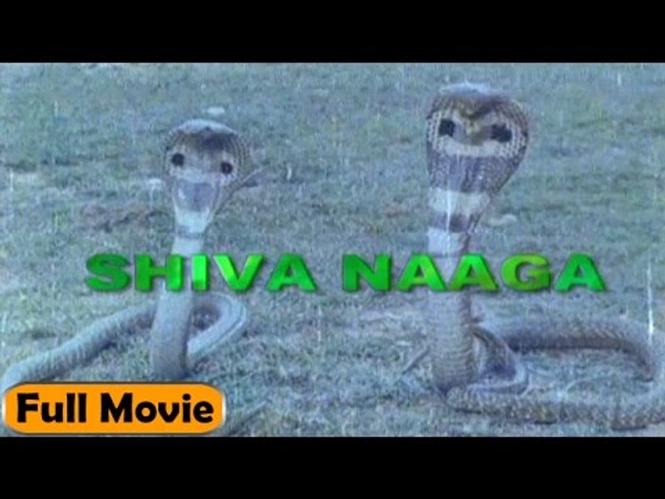 Shiva Naaga | Full Hindi Movie | Arjun Sarja, Mala Shree