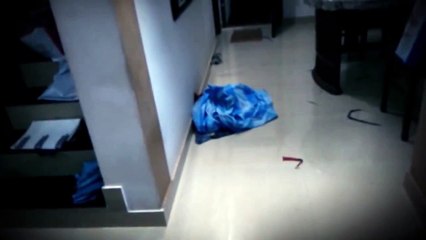 Ghost Caught On Video Tape - The Haunting - Paranormal Investiga(9)