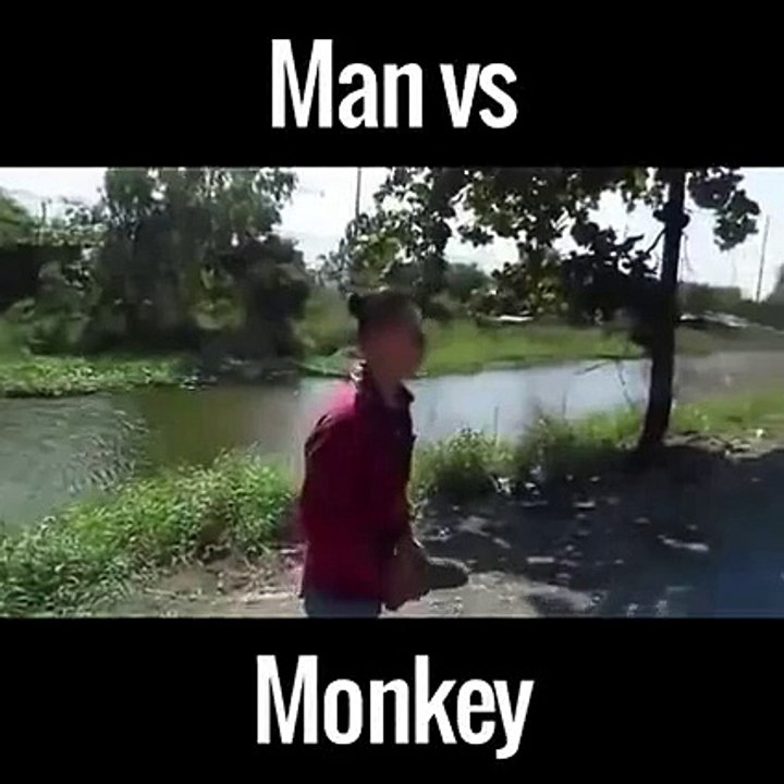Homme Vs Singe... Mdrrr