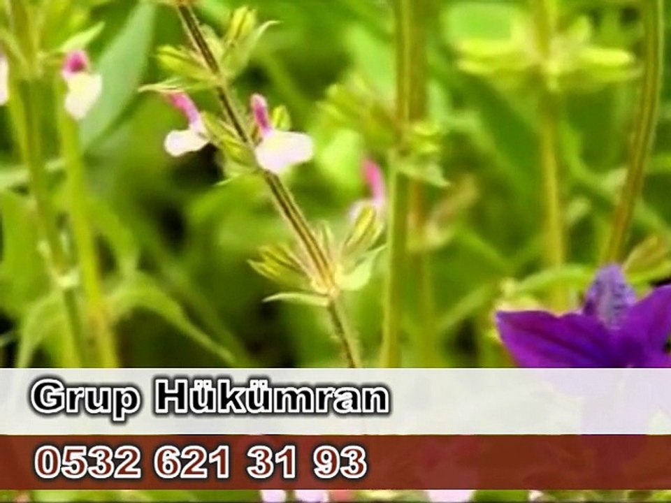 Adana İlahi Grubu & Semazen Ekibi 0532 621 3193 (Islamic Music Team)