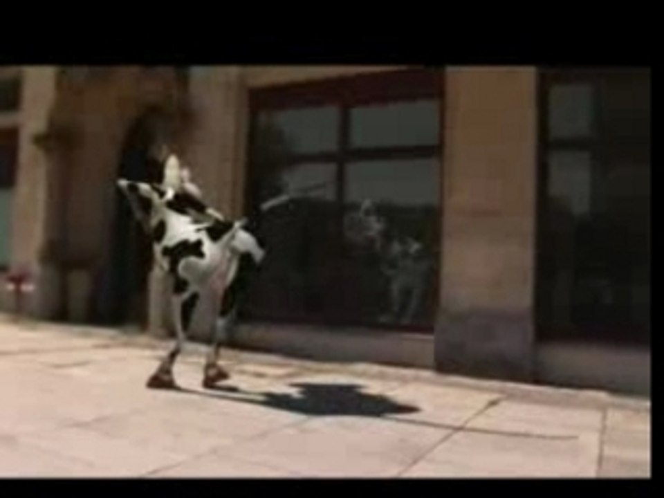 vache qui danse