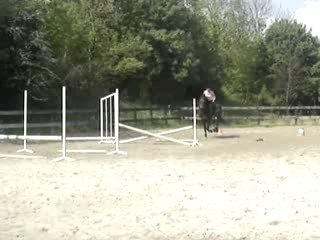 Moà et pitite mirabelle