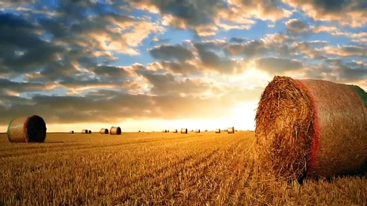 15 Minute Meditation Music Relax Mind Body: Nature Sounds, Healing Music, Relaxing Music ✿2455C (World Music 720p)