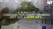 Legalization Activist Sends Weed To Every Liberal Member Of Parliament