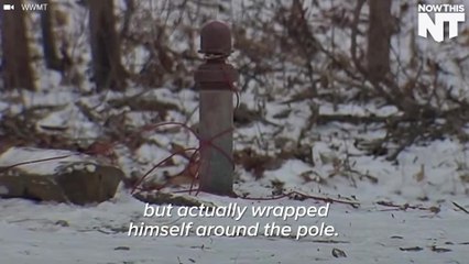 A 6-Month-Old Puppy Froze To Death After Its Owner Left It In The cold