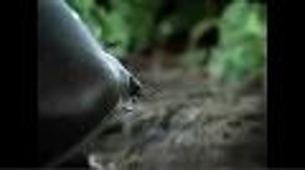 El nuevo Beetle se cuela en la Super Bowl