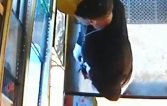 Il vole un python en le cachant dans son pantalon