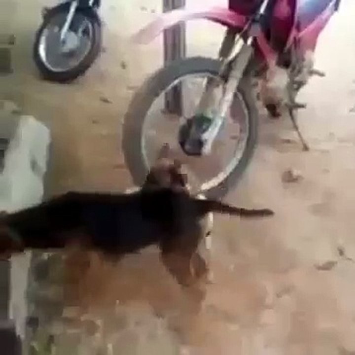 Mission Impossible