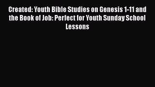 Created: Youth Bible Studies on Genesis 1-11 and the Book of Job: Perfect for Youth Sunday