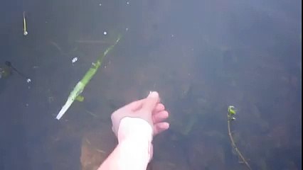 Elle Büyük Balık Nasıl Yakalanır İlginç Yöntem! Yok Böyle Bi