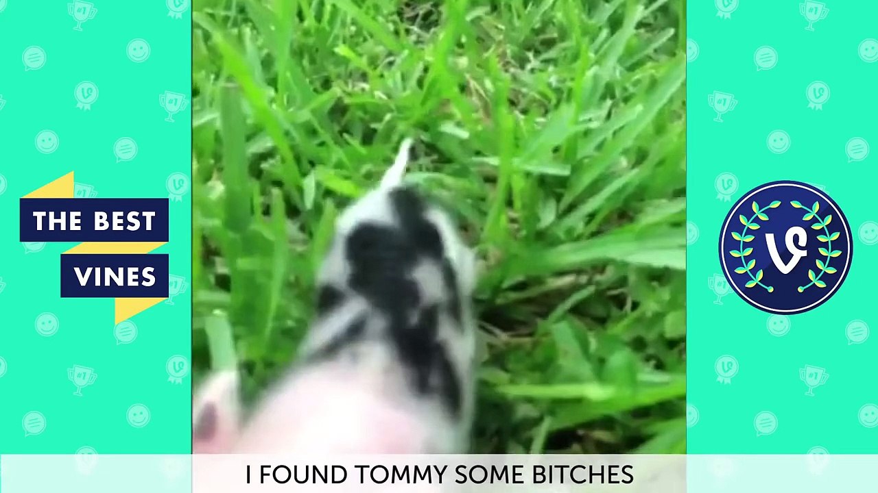ULTIMATE SPECIAL K Vine Compilation   NEW FUNNY Vine Videos 2015
