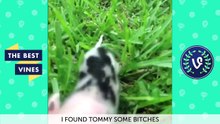 ULTIMATE SPECIAL K Vine Compilation   NEW FUNNY Vine Videos 2015