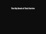 PDF Download The Big Book of Thai Curries Download Online