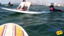 California Surf Surfing Dogs - Tony Perri, Surfs Up Studios, Producer & Director