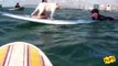 California Surf Surfing Dogs - Tony Perri, Surfs Up Studios, Producer & Director