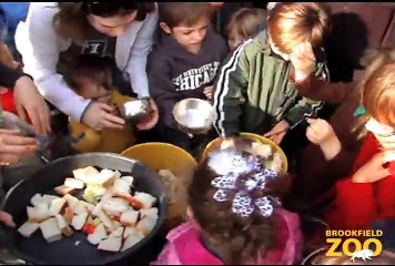 Thanksgiving Day Feast for the Animals