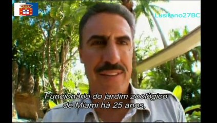 Histórias de OVNIS, Ep.6, Crónicas de Um Extreterreste Vampiro