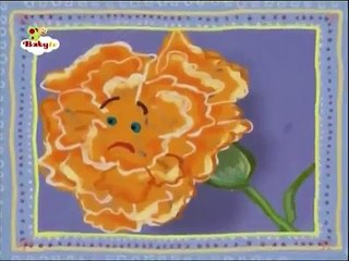 BabyTV Rose and Carnation (english)