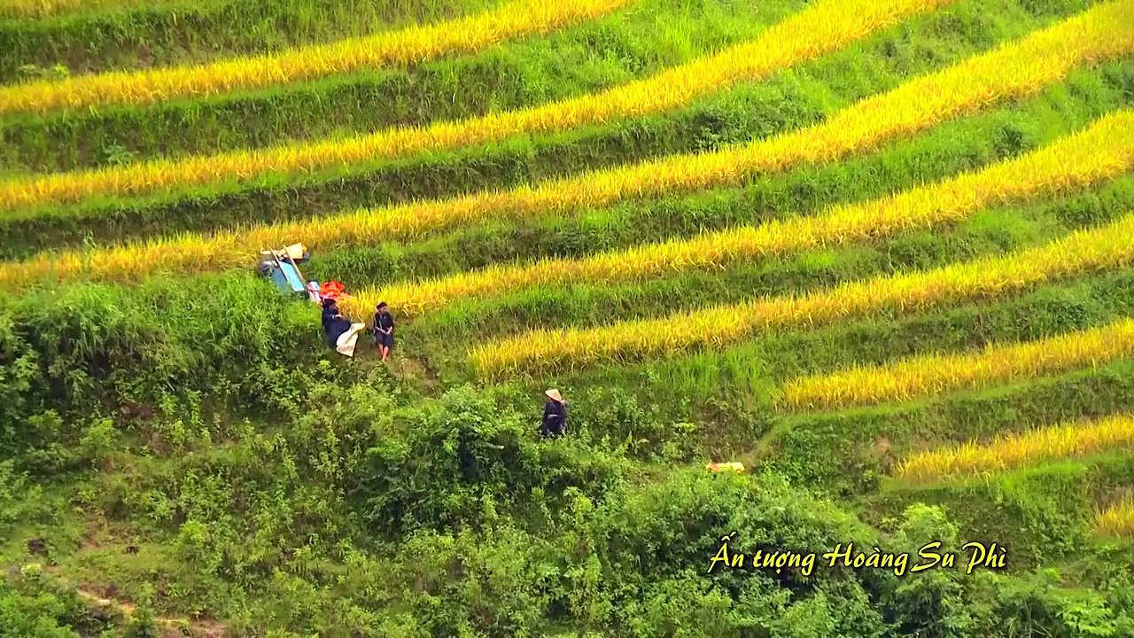 [Element Cams] - [Skyview VietNam] - Part 16-2: Ruộng bậc thang - Hoàng Su Phì, Hà Giang