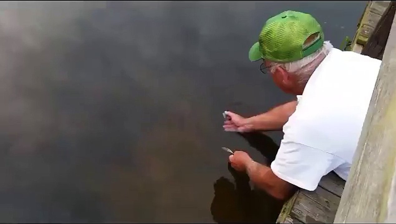 The Fish Whisperer