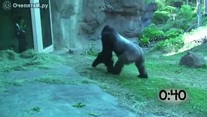 If you break glass what happens