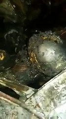 Fatal accidente con carroza en Pasto 2016 - personas calcinadas