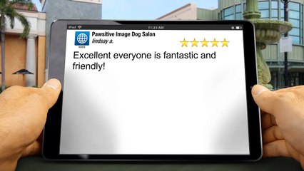 Pawsitive Image Dog Salon  Excellent Five Star Review by lindsay a.