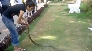 Young Girl Catching Snake