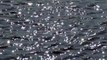 Sparkling Water Surface - $LOW STOCK FOOTAGE