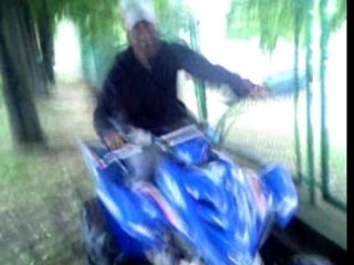 Buch en Raptor: Discover the Dinosaur 🦖