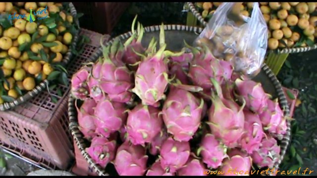 Découverte de Hanoi à Mai Chau Hoa Binh - Vietnam | Voyage au Vietnam